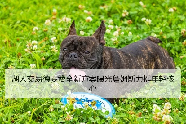 湖人交易德罗赞全新方案曝光詹姆斯力挺年轻核心